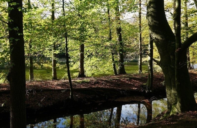 Wandelroute bossen van Nunspeet