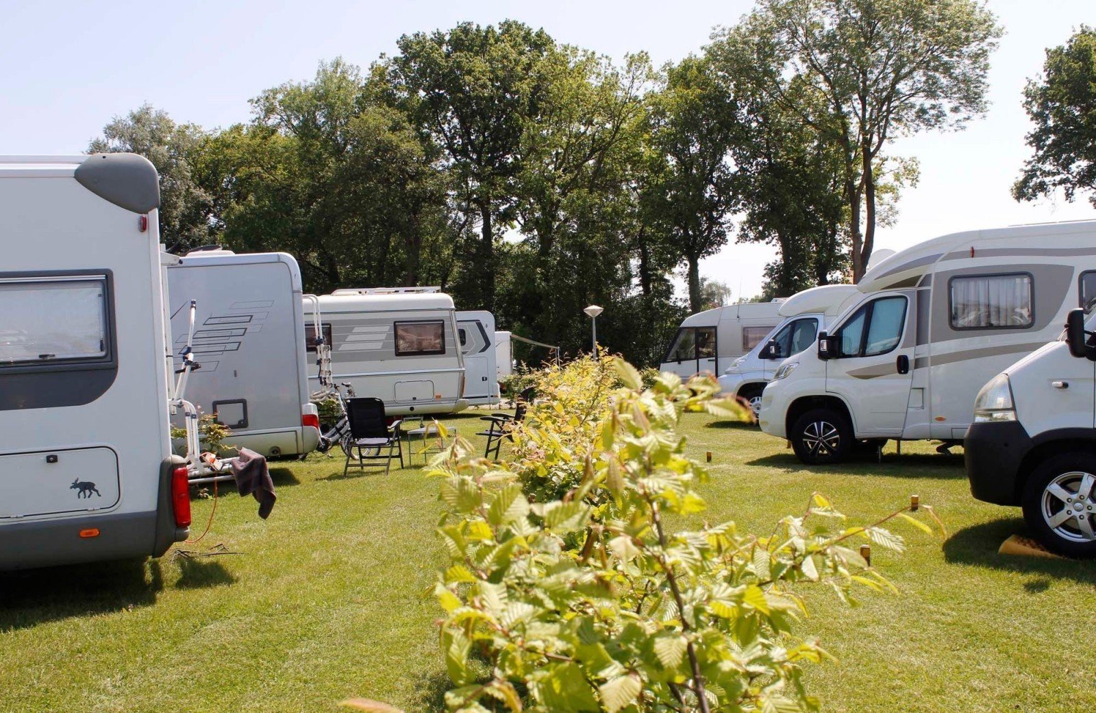 Camperplaats bij het Veluwemeer in het groen