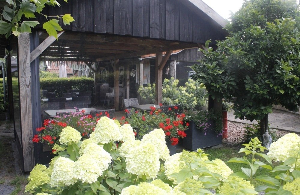 camping elspeet theetuin